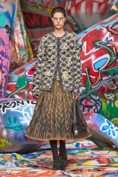 Look 65